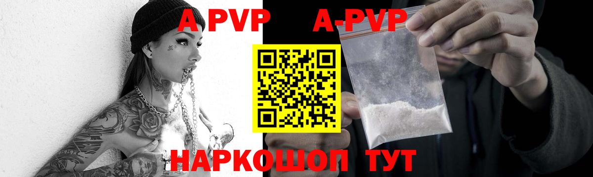 Alfa_PVP СК КРИС Воронеж