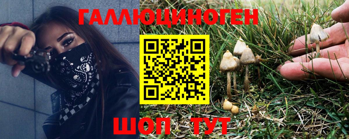 Псилоцибиновые грибы мухоморы Воронеж