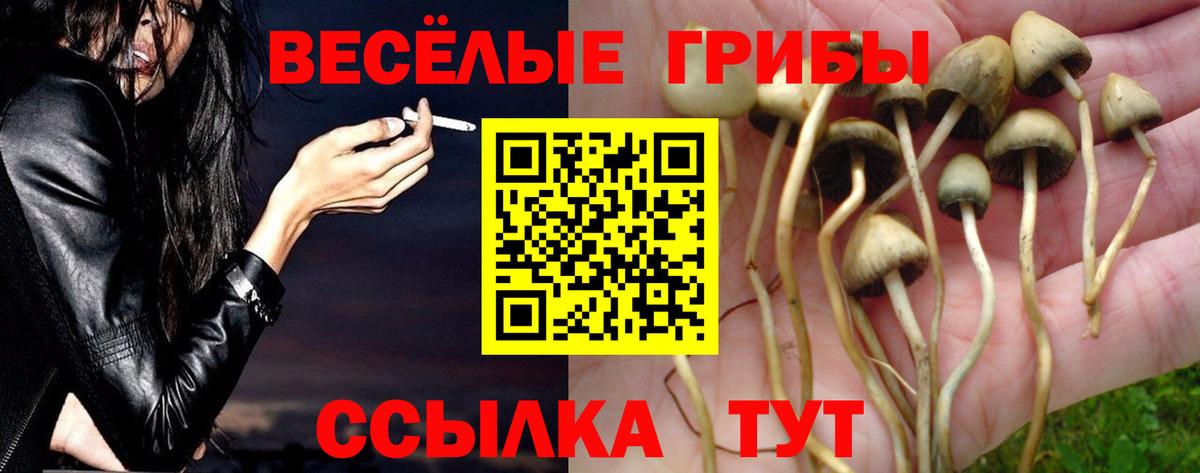 Псилоцибиновые грибы MAGIC MUSHROOMS  Вход с VPN  Воронеж 